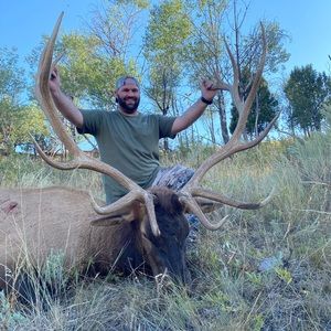 Meet your Posher, Brant